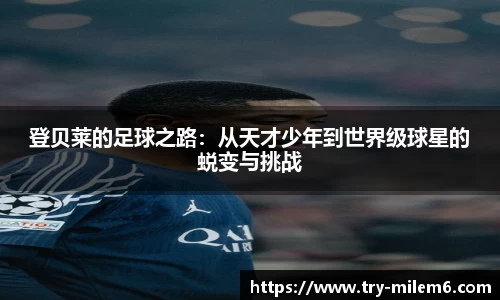 米乐体育